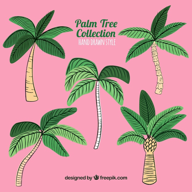 Free vector several hand-drawn palm trees