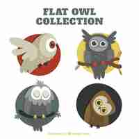 Free vector several owls in different positions