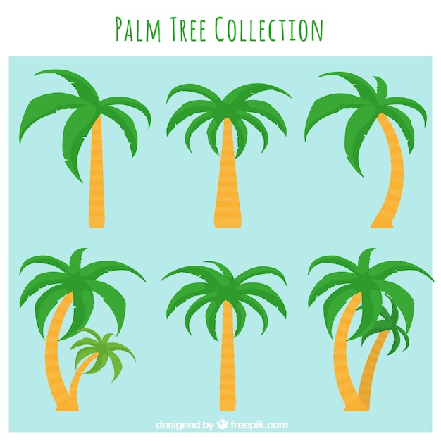 Free vector several palm trees