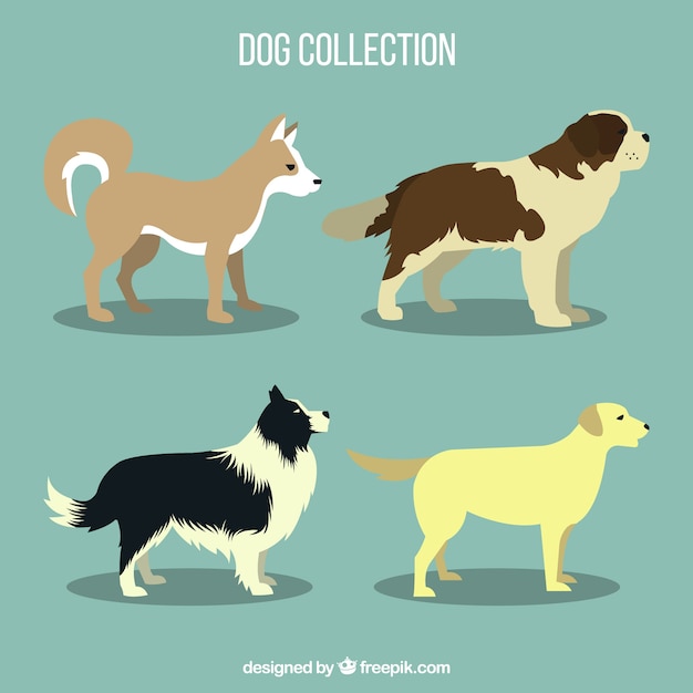 Free vector several profile dogs