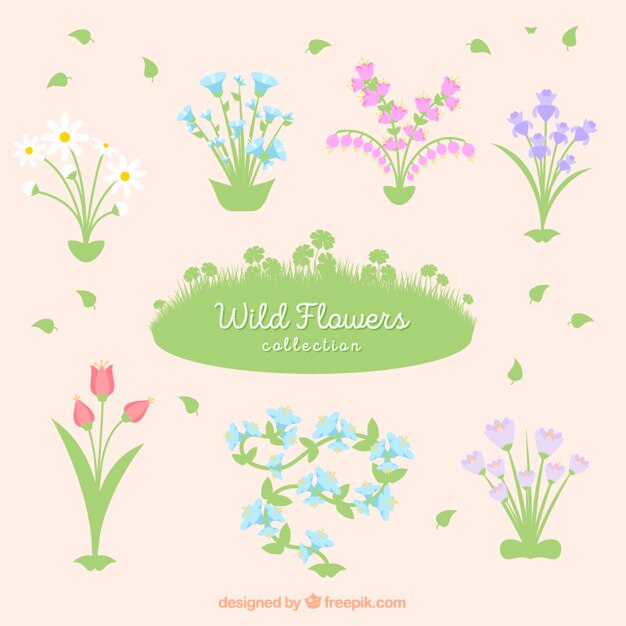 Free vector several wild flowers with leaves