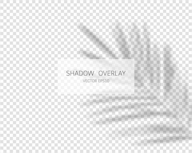 Shadow overlay effect. natural shadows isolated on transparent.