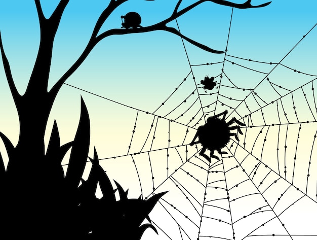 蜘蛛の巣の自然の背景の影