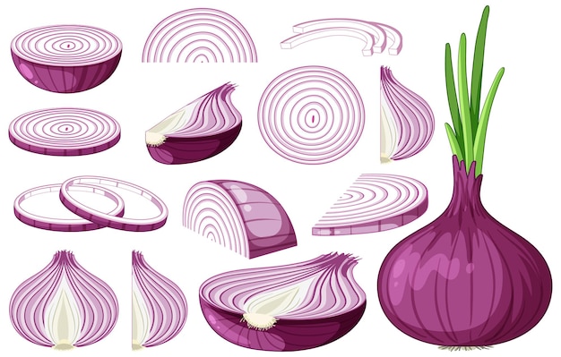 Shallots or Red Onion in a white bowl 18774501 Stock Photo at Vecteezy