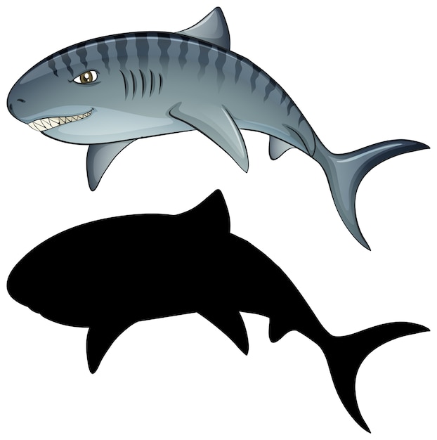 Free vector shark characters and its silhouette on white