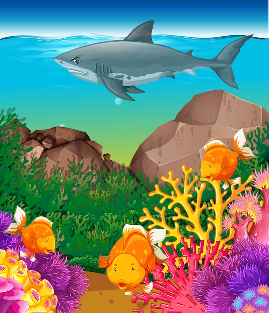 Free vector shark and fish swimming in the sea