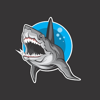 Логотип акулы