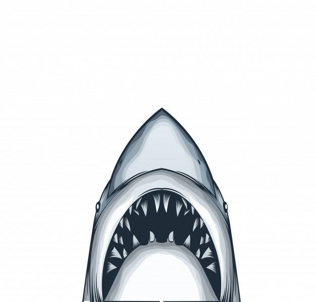 Download Shark Vectors, Photos and PSD files | Free Download