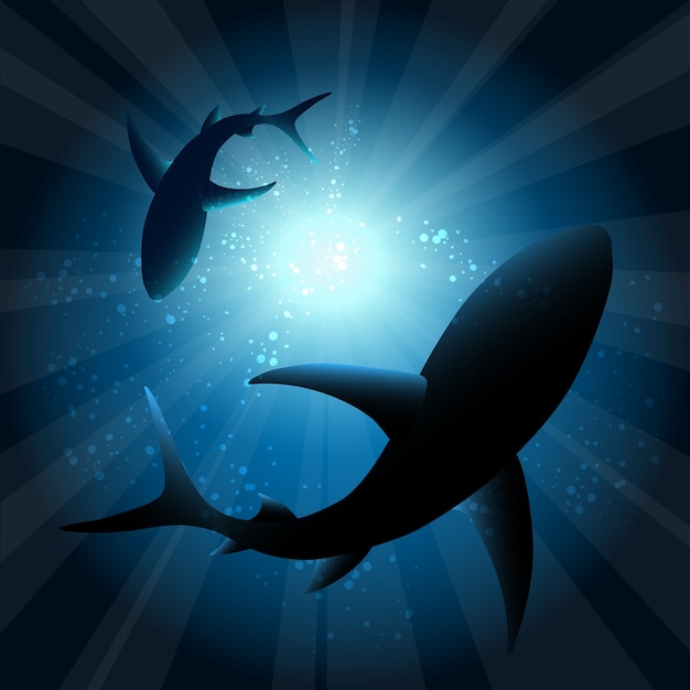 Sharks under water. Fish in ocean, animal nature life, swimming wildlife, 