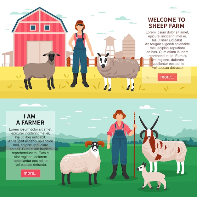 Free vector sheep breeding flat banners