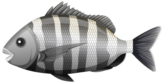 白い背景の上の漫画スタイルのシープスヘッドの魚