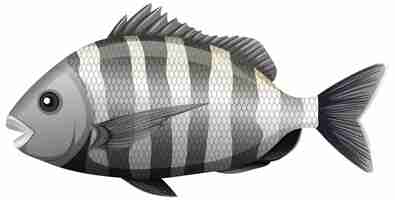 Бесплатное векторное изображение Овчарка рыбы в мультяшном стиле на белом фоне