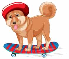 Free vector shiba dog wears helmet standing on skateboard