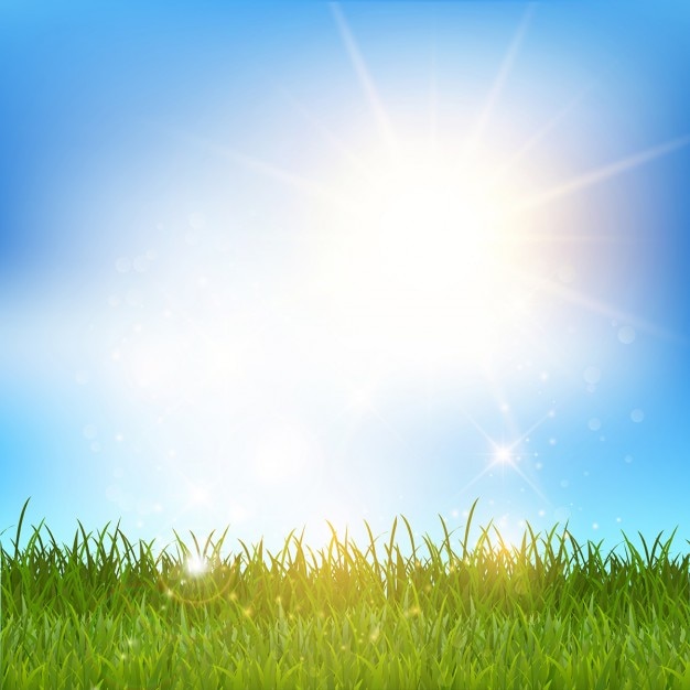 Free vector shiny grassy landscape