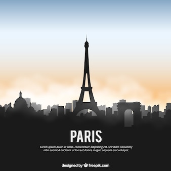 Shiny Paris Skyline