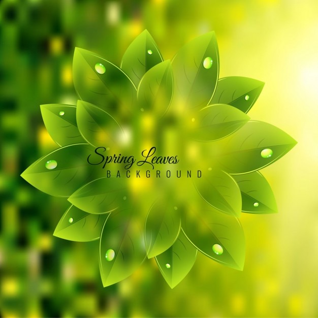 Shiny spring background with green leaves