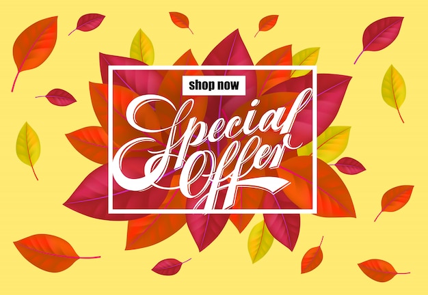 Vettore gratuito acquista ora offerta speciale lettering con foglie colorate brillanti.