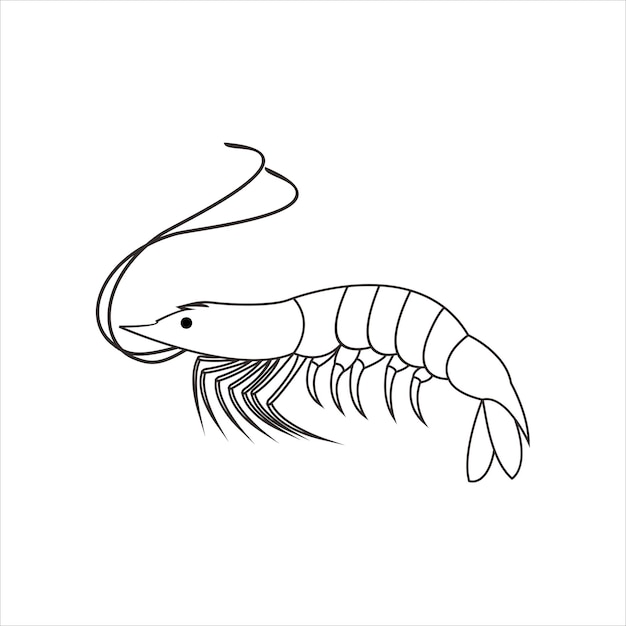 Shrimp design vintage illustration