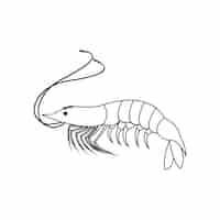 Free vector shrimp design vintage illustration