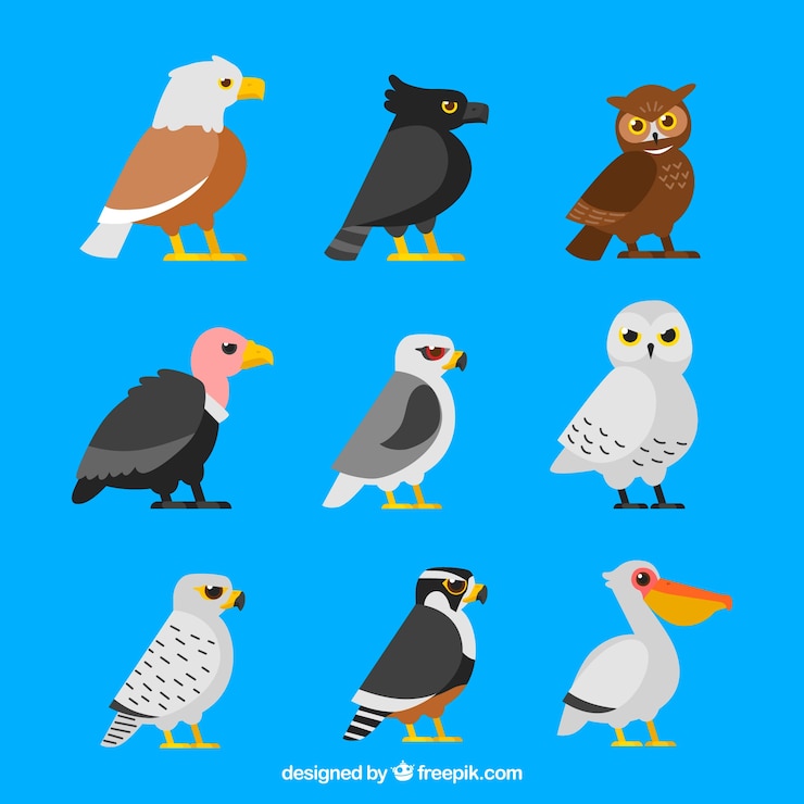 Free Vector side view collection of birds