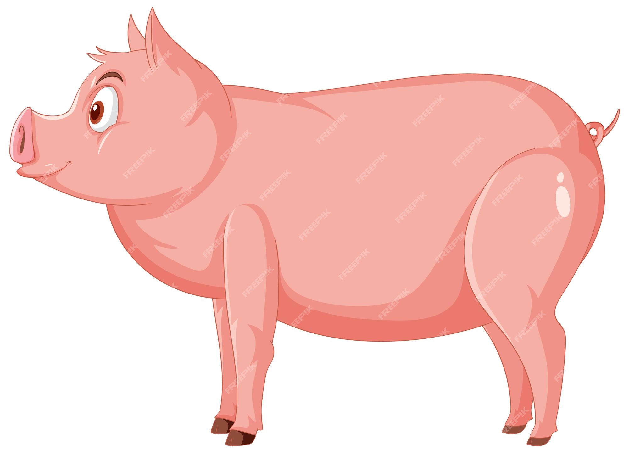 Pig Images - Free Download on Freepik