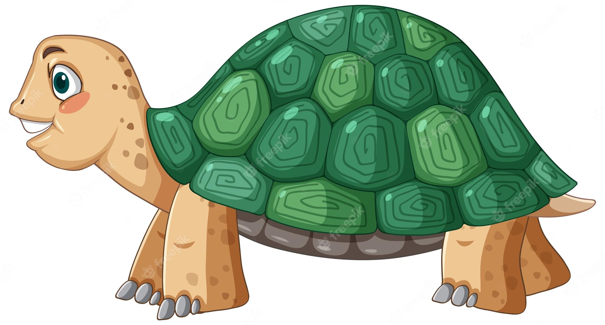 Free Vector | Side view of turtle with green shell in cartoon style
