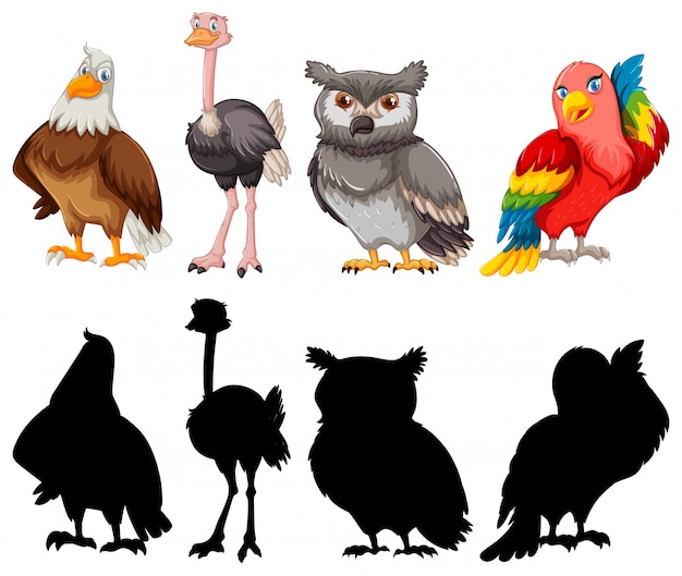 Бесплатное векторное изображение Коллекция силуэтов и цветовых контуров птиц