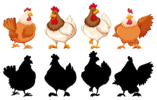Free vector silhouette, color and outline version of chickens