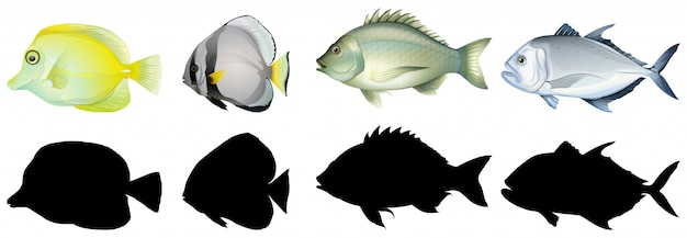 Free vector silhouette, color and outline version of fish