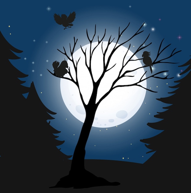 Free vector silhouette dark night and birds