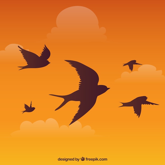 Силуэт летающих птиц фон