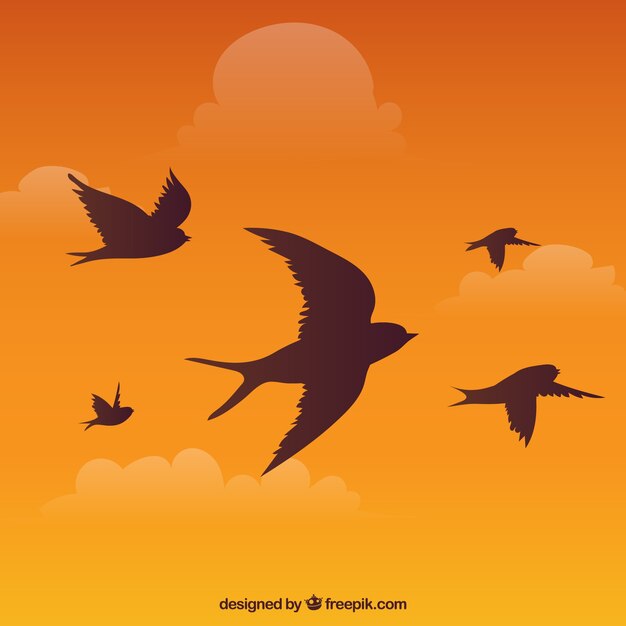 Silhouette flying bird background