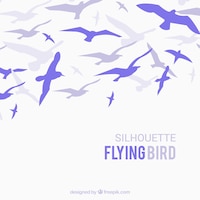 Silhouette flying bird background