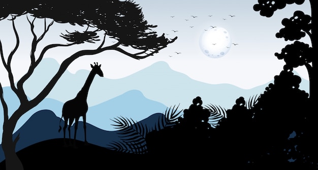 Silhouette giraffe and forest scene