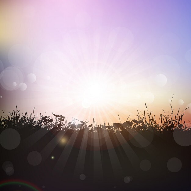 Free Vector silhouette of grass and plants against a sunset sky