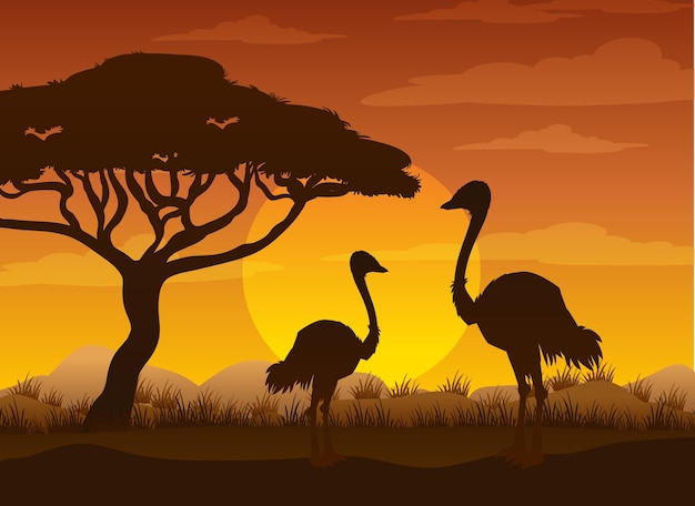 Silhouette savanna forest with wild animals