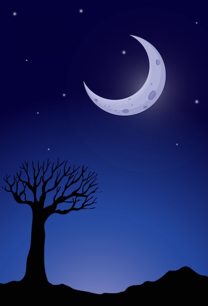 야간 실루엣 나무