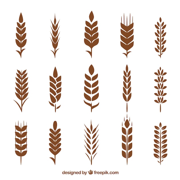 Free vector silhouette wheat collection