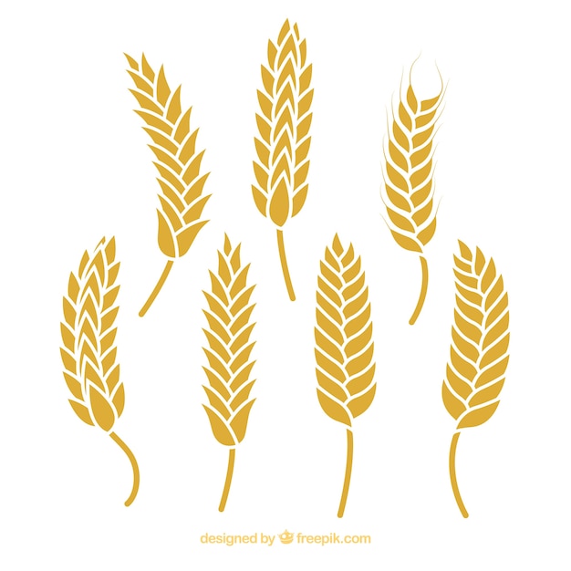 Free vector silhouette wheat collection