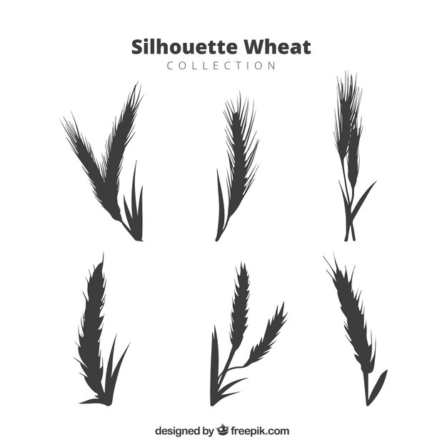 Silhouette wheat collection