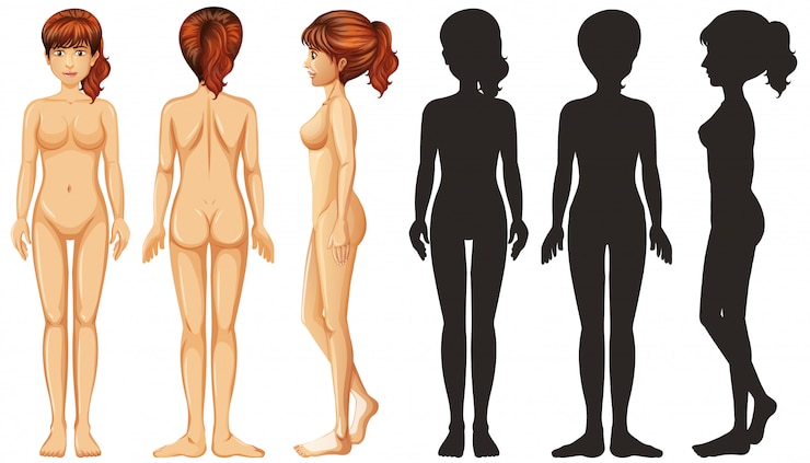 Free Vector silhouette woman on white background