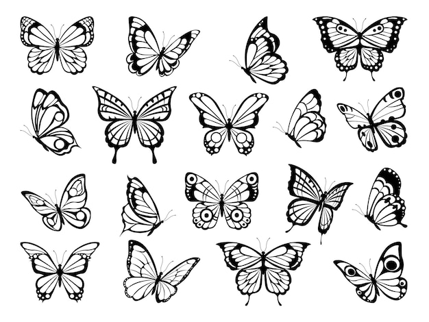 Silhouettes of butterflies. black pictures of funny butterflies