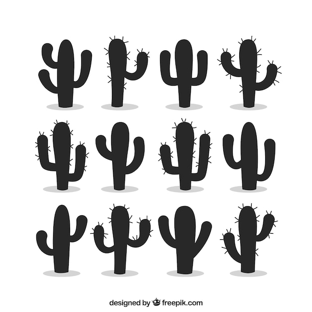 Silhouettes of cactus