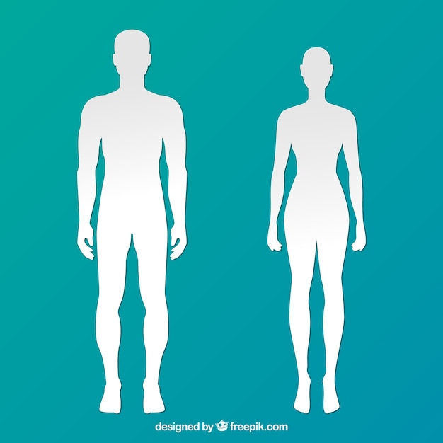 Download Human Body Images | Free Vectors, Stock Photos & PSD