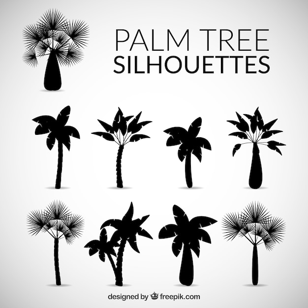 Free vector silhouettes of palm tree