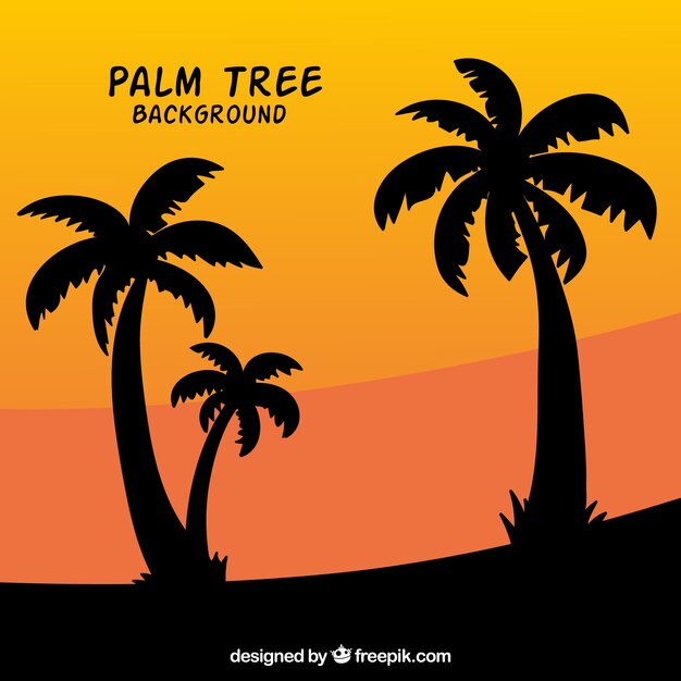 Силуэты пальмовых деревьев фон