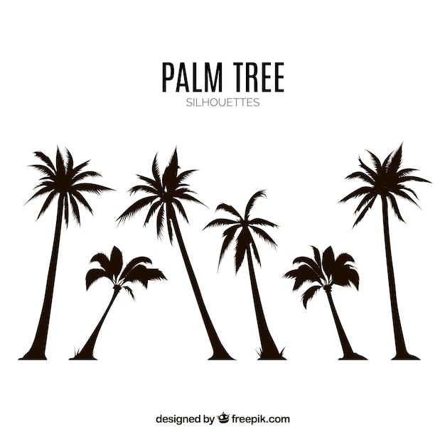 Silhouettes set of palm trees