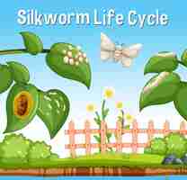 Free vector silkworm  life cycle font in garden scene