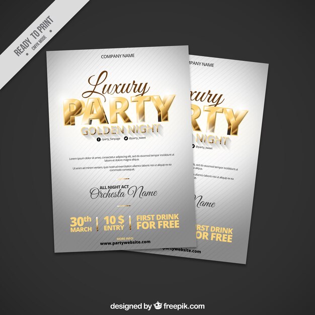 silver party brochure with golden details