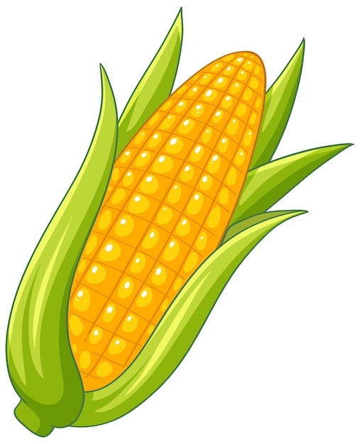 Free Vector a simple corn cartoon